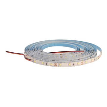 Tira LED regulable DAISY 5m blanco frío
