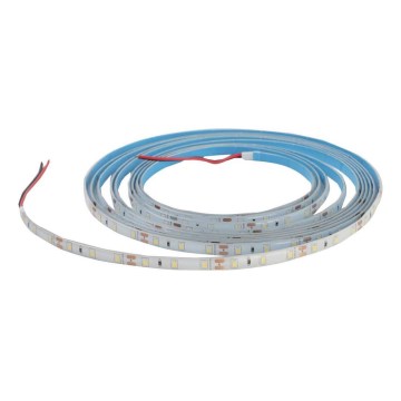 Tira LED regulable para baño DAISY 5m blanco frío IP65
