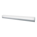 Top Light - Aplique LED de baño DAKOTA XL LED/14W/230V IP44