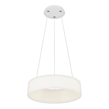 Top Light - Lámpara colgante LED regulable HALO LED/40W/230V 3000-6500K diámetro 44 cm + mando a distancia