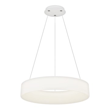 Top Light - Lámpara colgante LED regulable HALO, suspendida por cable, LED/60W/230V 3000-6500K Ø 60 cm + mando a distancia