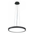 Top Light - Lámpara de araña LED regulable REVIT LED/36W/230V 3000-6500K diá. 40 cm negro + control remoto