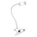 Top Light - Lámpara de mesa LED táctil regulable con pinza BELLA LED/4,8W/5V 3000-6500K blanco