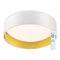 Top Light - Plafón LED regulable IVONA 40B RC LED/24W/230V + control remoto blanco