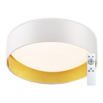 Top Light - Plafón LED regulable IVONA 40B RC LED/24W/230V + control remoto blanco