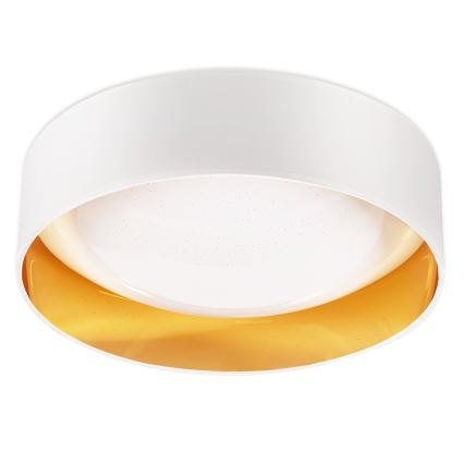 Top Light - Plafón LED regulable IVONA 40B RC LED/24W/230V + control remoto blanco