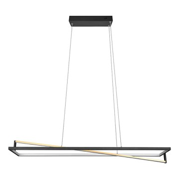 Trio - Lámpara colgante LED regulable con cable EDGE LED/35W/230V 2300/3000/4000K negro/dorado