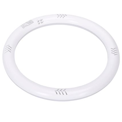 Tubo fluorescente LED G10q/17W/230V 4000K - Aigostar