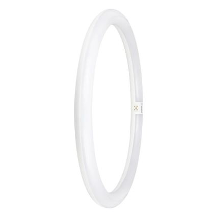 Tubo fluorescente LED G10q/24W/230V 6500K - Osram