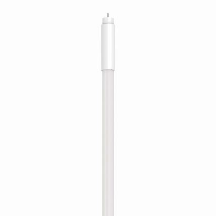 Tubo fluorescente LED T5 G5/8W/230V 6500K 60 cm