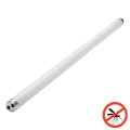 Tubo fluorescente UV para trampa de insectos G13/18W/230V 60 cm - Brilagi