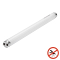 Tubo fluorescente UV para trampas de insectos G13/10W/230V 36,5 cm - BRILAGI