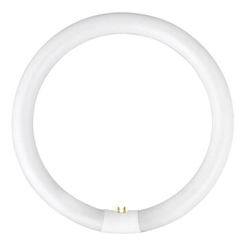 Tubo fluorescente YH G10q/28W/230V 6500K - Fulgur 03045 diá. 23 cm