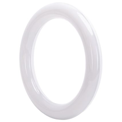 Tubo LED fluorescente G10q/14W/230V 4000K - Aigostar