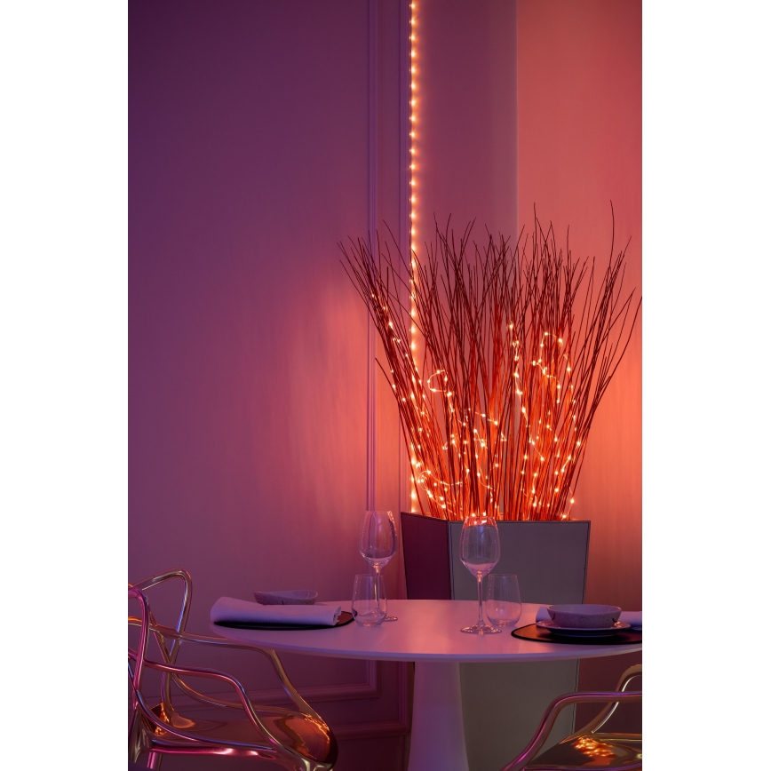 Twinkly - Guirnalda DOTS LED RGB regulable, 60 LEDs, 7 m, USB y Wi‑Fi