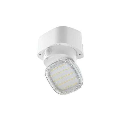 Viking - Aplique solar de pared LED con sensor LED/1W/3,7V IP44 3000/4000K 4000 mAh