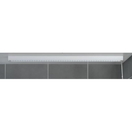 WENKO 23864100 - Estor enrollable para ducha 132x240 cm blanco