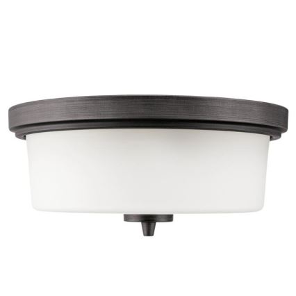Westinghouse 6325140 - Lámpara de techo CEDRIC 2xE27/40W/230V Ø 33 cm