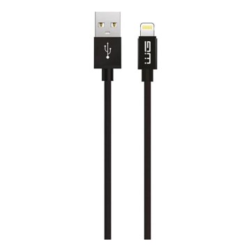 Winner Group - Cable USB Lightning / USB-A 1m negro