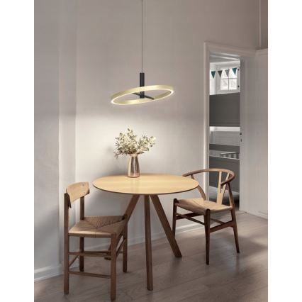 Wofi 6016-104L - LED lámpara colgante regulable suspendida por cable BREST LED/19W/230V Ø 42 cm negro/dorado