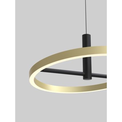 Wofi 6016-104L - LED lámpara colgante regulable suspendida por cable BREST LED/19W/230V Ø 42 cm negro/dorado