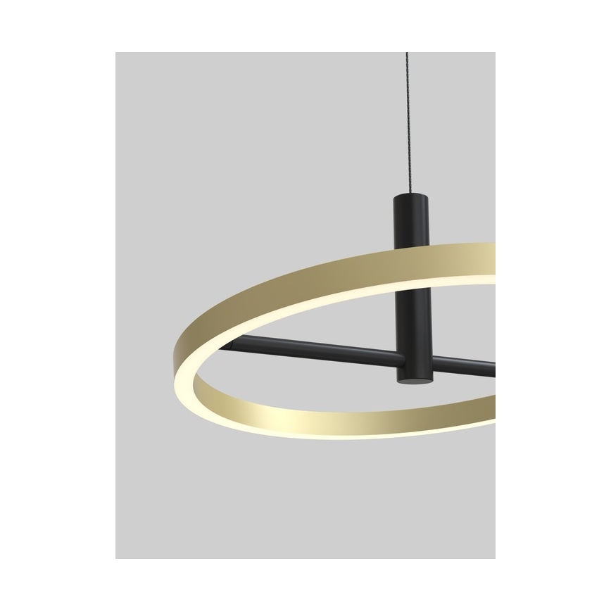 Wofi 6016-104L - LED lámpara colgante regulable suspendida por cable BREST LED/19W/230V Ø 42 cm negro/dorado
