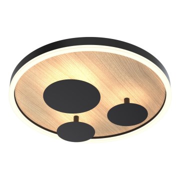 Wofi 9013-306S - Plafón LED regulable REIMS LED/26W/230V