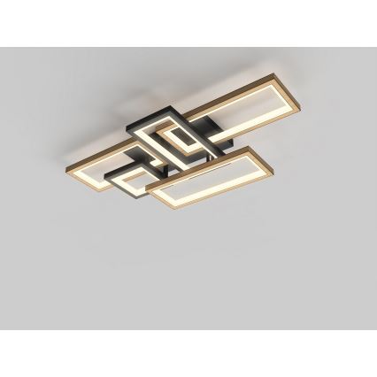 Wofi 9022-506 - Lámpara de techo LED regulable MATERA LED/60W/230V