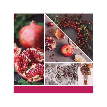 Yankee Candle - Vela perfumada SPARKLING WINTERBERRY grande 567g 60-90 horas.