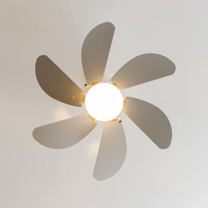ZEVENTI - Ventilador de techo FAMARA 1xE14/60W/230V gris