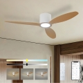 ZEVENTI - Ventilador de techo LED regulable VENTORA LED/24W/230V 3000/4000/6000K Wi-Fi Tuya blanco/roble + control remoto