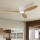 ZEVENTI - Ventilador de techo LED regulable VENTORA LED/24W/230V 3000/4000/6000K Wi-Fi Tuya blanco/roble + control remoto