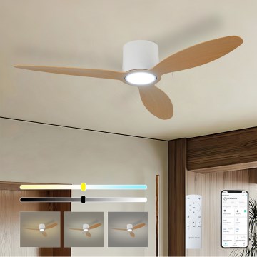 ZEVENTI - Ventilador de techo LED regulable VENTORA LED/24W/230V 3000/4000/6000K Wi-Fi Tuya blanco/roble + mando a distancia