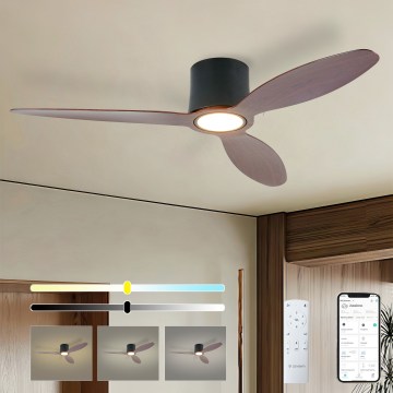 ZEVENTI - Ventilador de techo LED regulable VENTORA LED/24W/230V 3000/4000/6000K Wi-Fi Tuya negro/nogal + mando a distancia