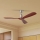 ZEVENTI - Ventilador de techo LIONI Wi-Fi Tuya cromo mate/roble + mando a distancia