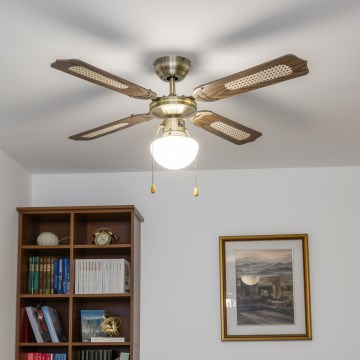 ZEVENTI - Ventilador de techo NAVAGIO 1xE27/60W/230V marrón