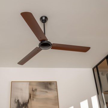 ZEVENTI - Ventilador de techo TOFINO marrón
