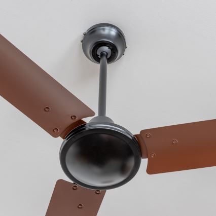 ZEVENTI - Ventilador de techo TOFINO marrón