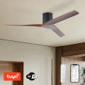 ZEVENTI - Ventilador de techo VELLON Wi-Fi negro/nogal + control remoto