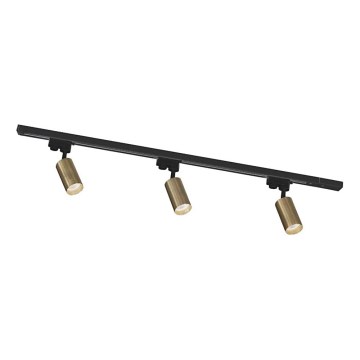 Zuma Line - Foco orientable para sistema de carril 3xGU10/35W/230V negro/dorado