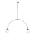 Zuma Line - Lámpara colgante con cable 2xE14/10W/230V dorada