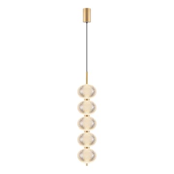 Zuma Line - Lámpara colgante con cable LED/30W/230V dorada