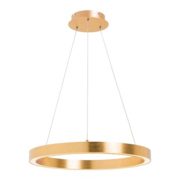 Zuma Line - Lámpara colgante LED 30W/230V, 40 cm, acabado dorado
