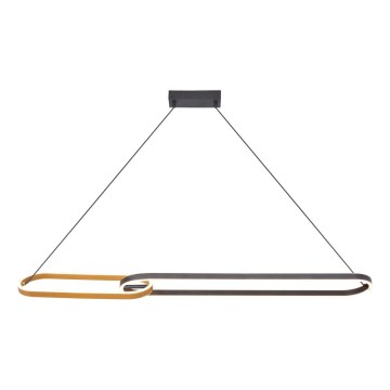 Zuma Line - Lámpara colgante LED con cable 2xLED/40W/230V negro/dorado