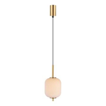 Zuma Line - Lámpara colgante LED con cable, 6,5W/230V, diámetro 13 cm, dorada