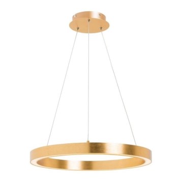 Zuma Line - Lámpara colgante LED con cable LED/40W/230V Ø 50 cm acabado dorado