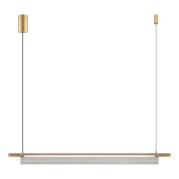 Zuma Line - Lámpara colgante LED en cable LED/14W/230V dorada
