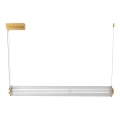 Zuma Line - Lámpara colgante LED regulable con cable LED/39W/230V 2700-6500K dorado + mando a distancia