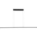 Zuma Line - Lámpara colgante LED suspendida por cable LED/20W/230V negra