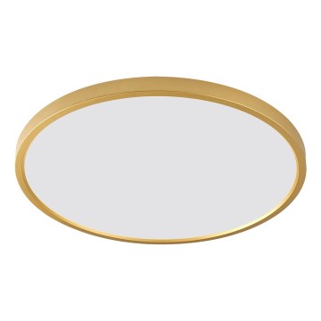 Zuma Line - Lámpara de techo LED 36W 230V, 3000/4000/6000K, Ø 40 cm, acabado dorado